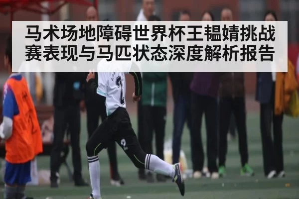 马术场地障碍世界杯王韫婧挑战赛表现与马匹状态深度解析报告